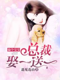 偷个宝宝总裁娶一送一全文免费阅读
