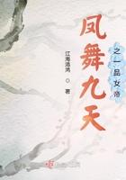 凤舞九天全文阅读