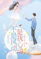 不是风动是我心动歌词