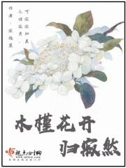 木槿花开的意思