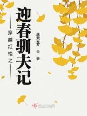 穿越红楼之迎春衍生经典